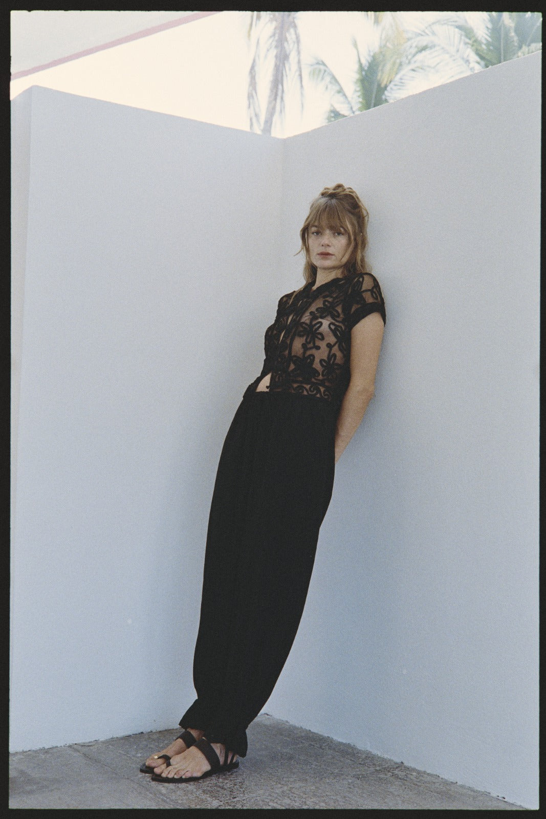 Pauli Pant